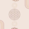 Thank You For Subscribing ? - Image 2