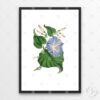 Set of 3 Vintage Blue Floral Wall Art - Image 7
