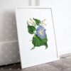 Set of 3 Vintage Blue Floral Wall Art