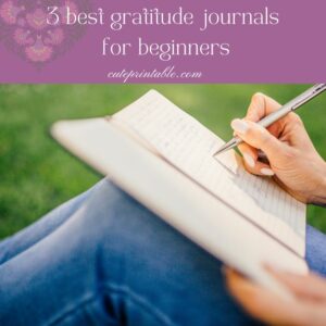 Feature Image-3 best gratitude journal for beginners